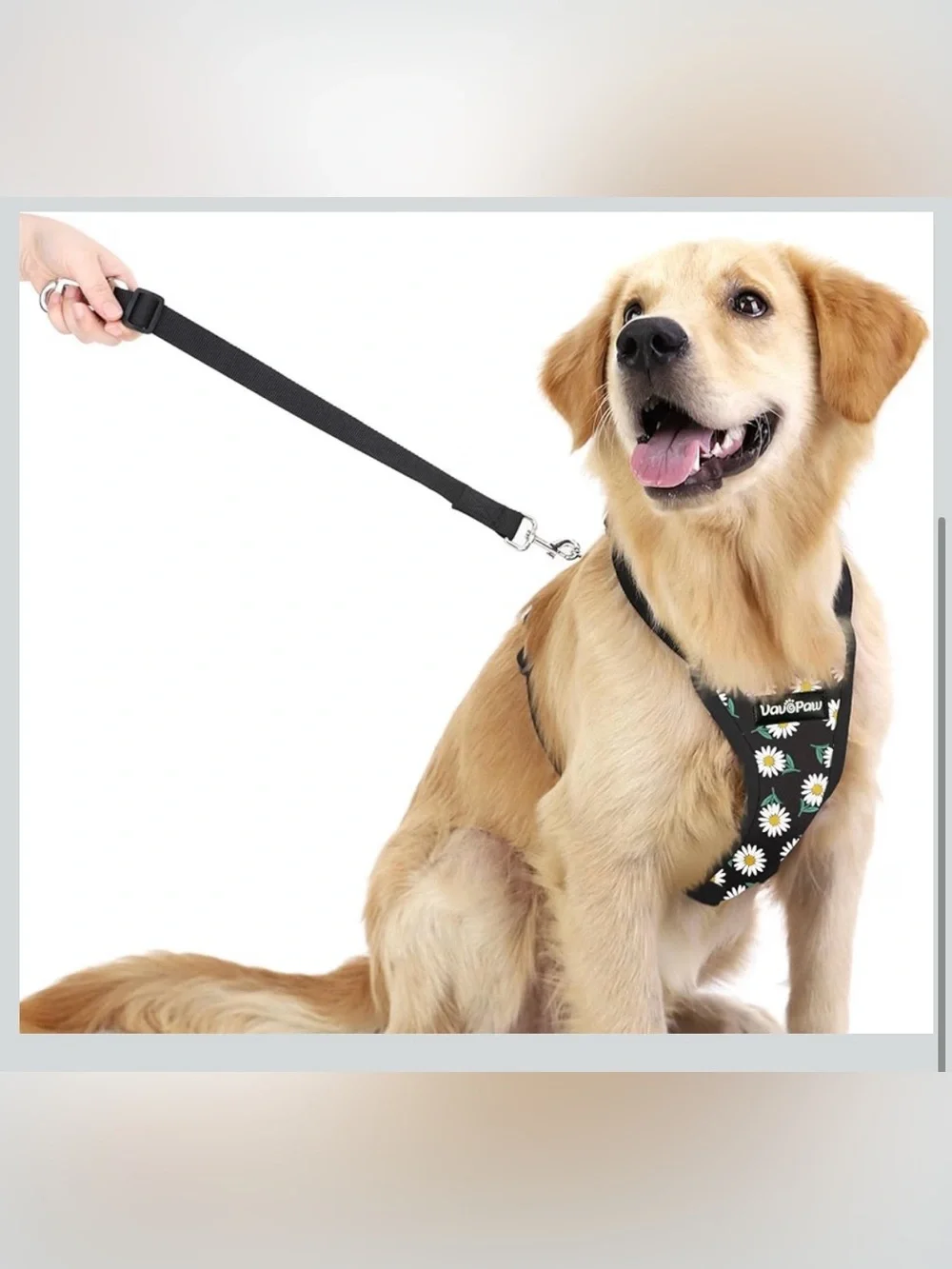 VavoPaw Dog Vehicle Safety Vest Harness - Black Daisy L. 2925/dc-1:v
